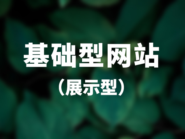 基礎(chǔ)型網(wǎng)站（展示型）