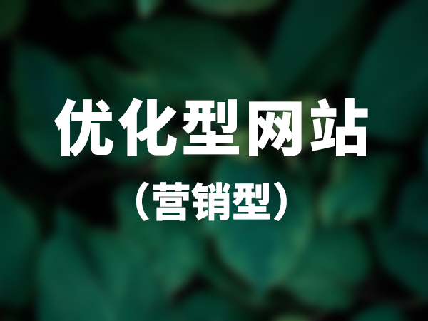優(yōu)化型網(wǎng)站（營(yíng)銷(xiāo)型）